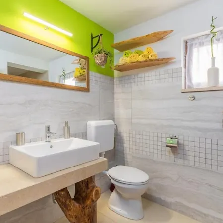 فيلة Rustic Casa Dvi Mandule In Novigrad بروتونيغلا