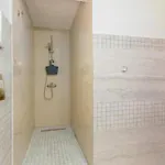 Rustic Casa Dvi Mandule In Novigrad *