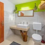 빌라 Rustic Casa Dvi Mandule In Novigrad